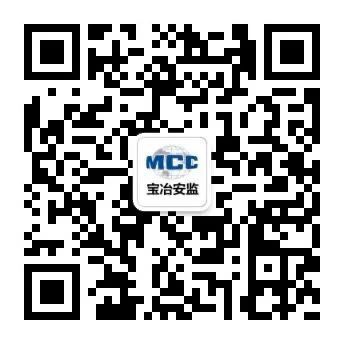 鉴黑担保网安监