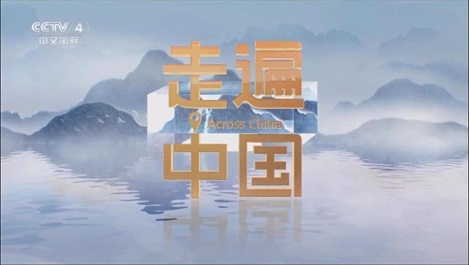 媒体聚焦：央视《新质引擎》揭秘上海鉴黑担保网匠造全球最大乐高乐园